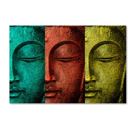 Trademark Fine Art Mark Ashkenazi 'Buddha Face' Canvas Art, 12x19 ALI7848-C1219GG